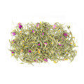 Novos produtos Camomila Rose Silver Needle White Tea